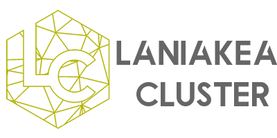 Laniaker Cluster Limited